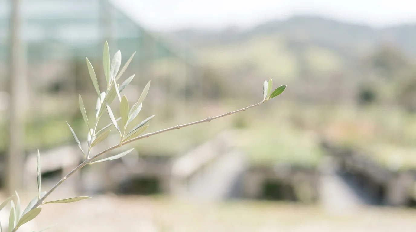 Why mother plant management matters more than ever